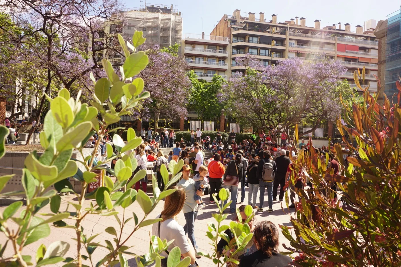 Cursa IPSI Solidària 2026 — foto 15